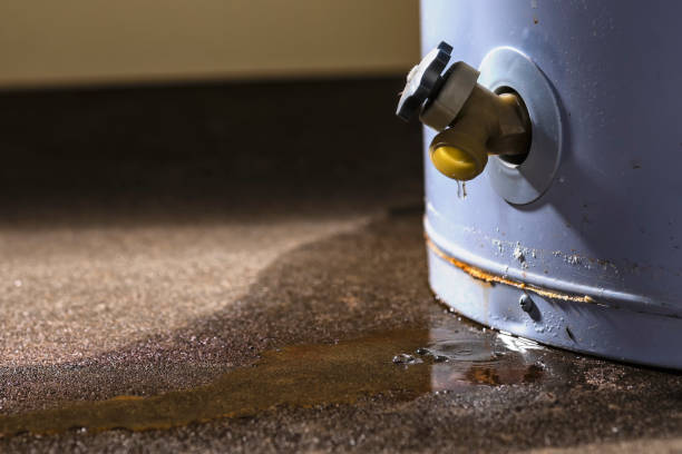 Best Water damage contractors near me  in Leupp, AZ