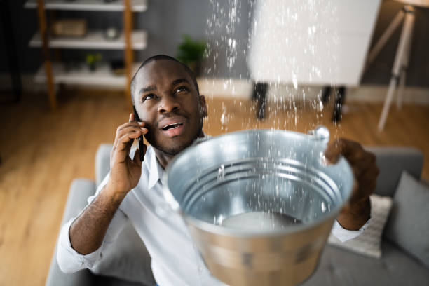Best Emergency water damage restoration  in Leupp, AZ