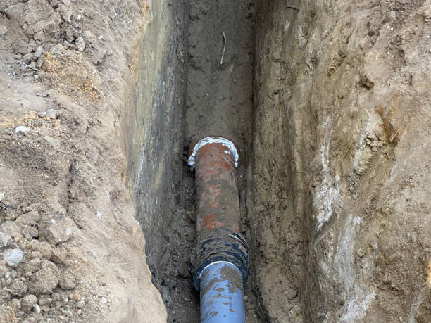 Best Flood damage cleanup  in Leupp, AZ