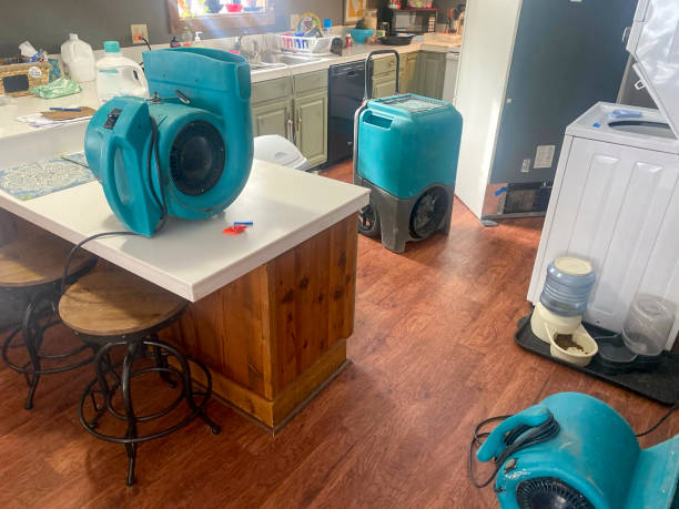 Best Professional water damage repair  in Leupp, AZ