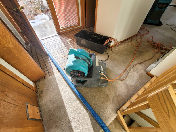 24/7 water damage repair in Leupp, AZ