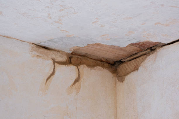 Best Flood restoration services  in Leupp, AZ