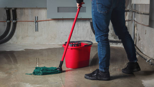 Best Fire Damage Restoration  in Leupp, AZ
