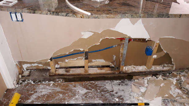 Best Water damage restoration near me  in Leupp, AZ