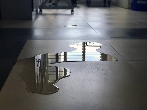 Best Water damage restoration near me  in Leupp, AZ
