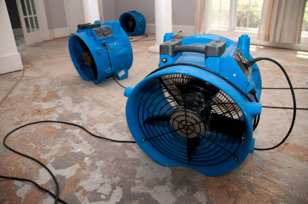 Best Ceiling water damage repair  in Leupp, AZ
