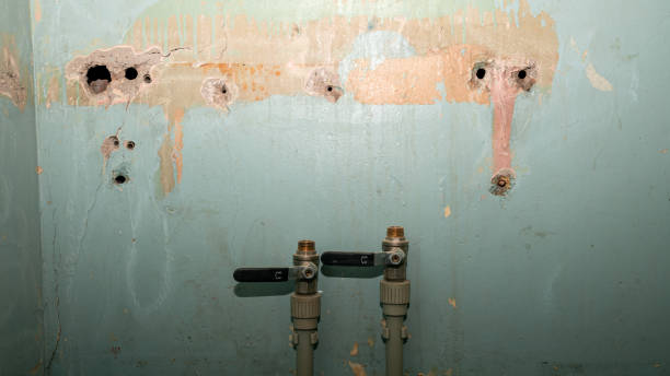 Best Professional water damage repair  in Leupp, AZ