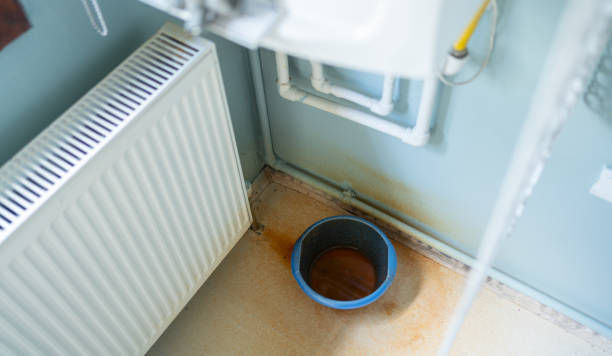 Best Residential water damage restoration  in Leupp, AZ