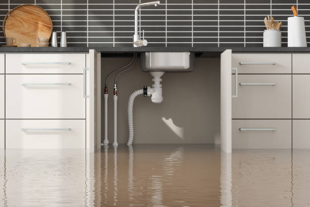 Best Flooded house restoration  in Leupp, AZ