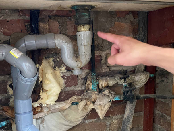 Best Professional water damage repair  in Leupp, AZ
