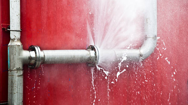 Best Water damage repair service  in Leupp, AZ