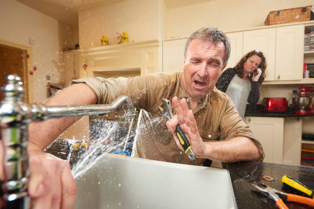 Best Flood restoration services  in Leupp, AZ
